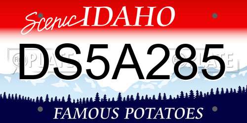DS5A285 Idaho License Plate