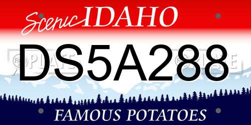 DS5A288 Idaho License Plate