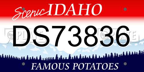 DS73836 Idaho License Plate