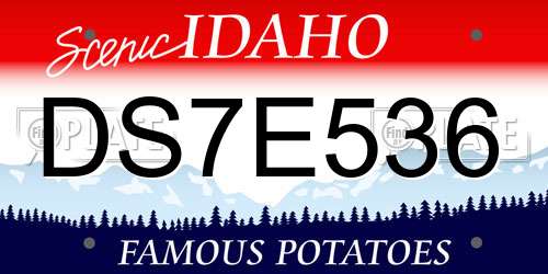 DS7E536 Idaho License Plate
