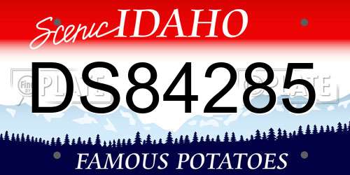 DS84285 Idaho License Plate