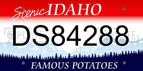 DS84288 Idaho License Plate