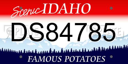 DS84785 Idaho License Plate