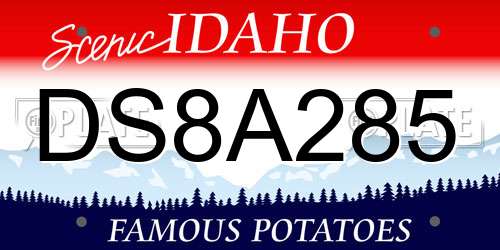 DS8A285 Idaho License Plate