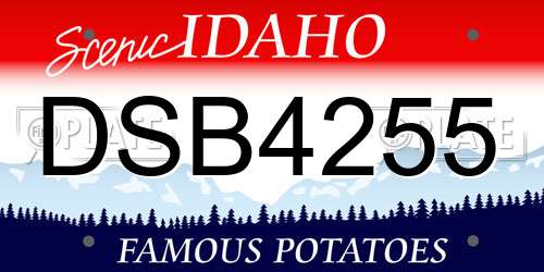 DSB4255 Idaho License Plate