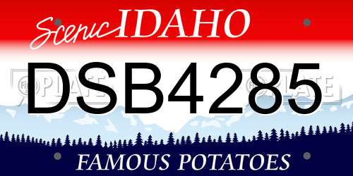 DSB4285 Idaho License Plate