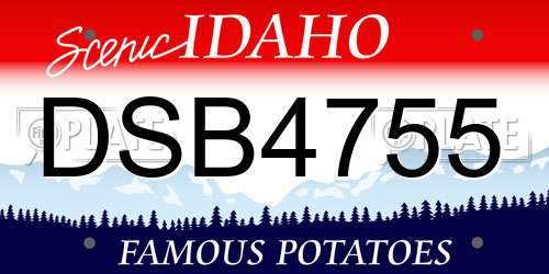 DSB4755 Idaho License Plate