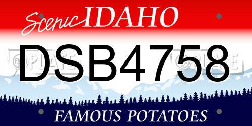 DSB4758 Idaho License Plate