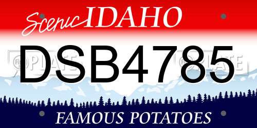 DSB4785 Idaho License Plate