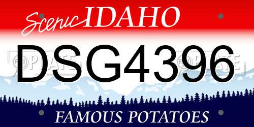 DSG4396 Idaho License Plate