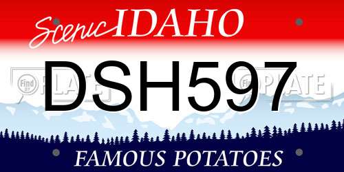 DSH597 Idaho License Plate