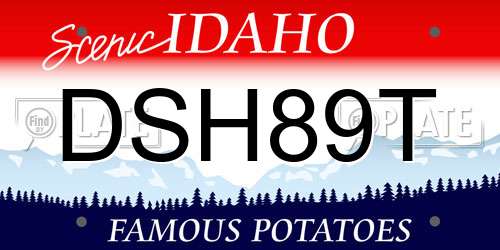 DSH89T Idaho License Plate