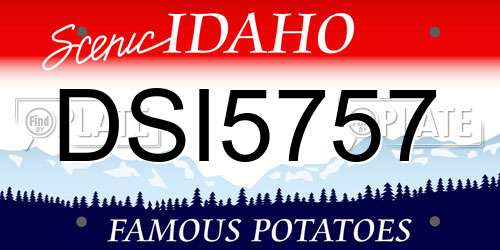 DSI5757 Idaho License Plate