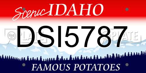 DSI5787 Idaho License Plate