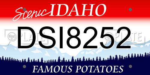 DSI8252 Idaho License Plate
