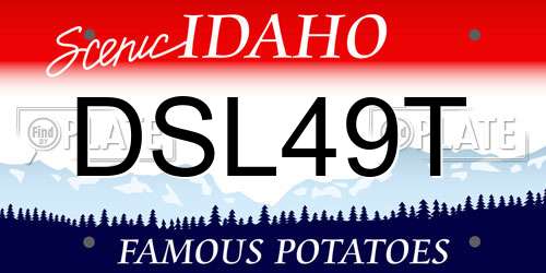 DSL49T Idaho License Plate