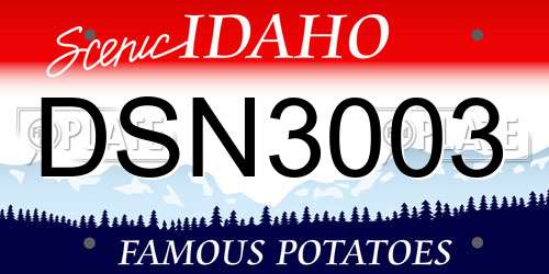 DSN3003 Idaho License Plate