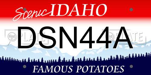 DSN44A Idaho License Plate