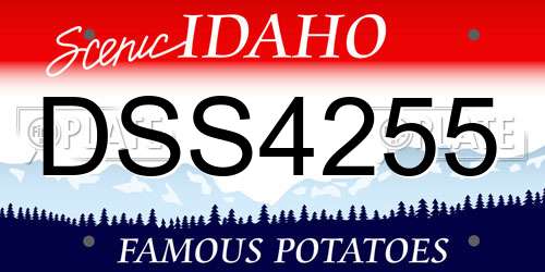 DSS4255 Idaho License Plate