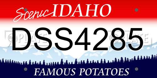 DSS4285 Idaho License Plate