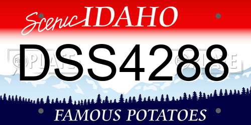 DSS4288 Idaho License Plate