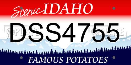 DSS4755 Idaho License Plate