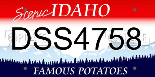DSS4758 Idaho License Plate