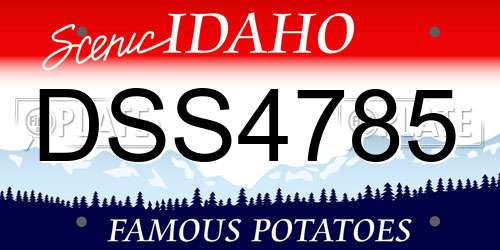 DSS4785 Idaho License Plate