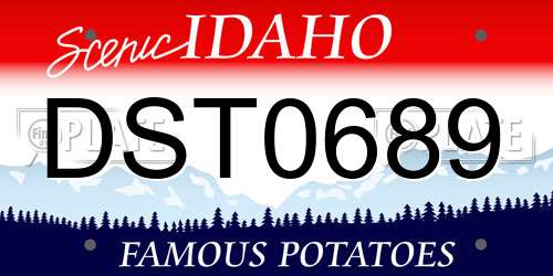 DST0689 Idaho License Plate