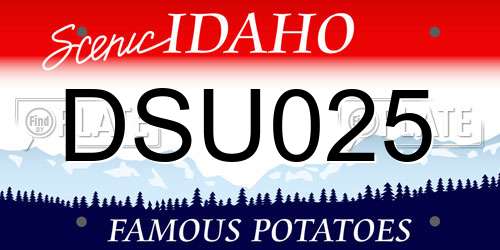 DSU025 Idaho License Plate