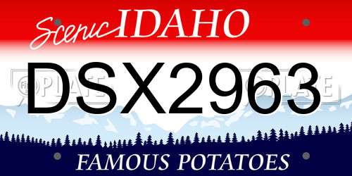 DSX2963 Idaho License Plate