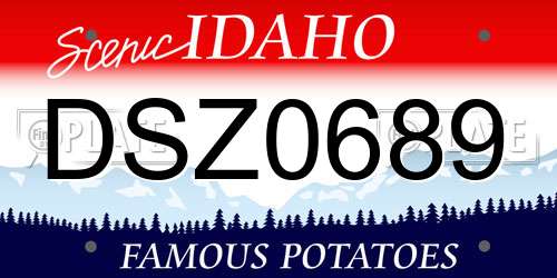 DSZ0689 Idaho License Plate