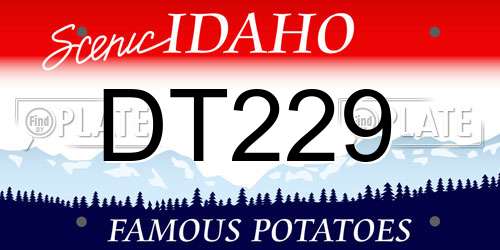 DT229 Idaho License Plate