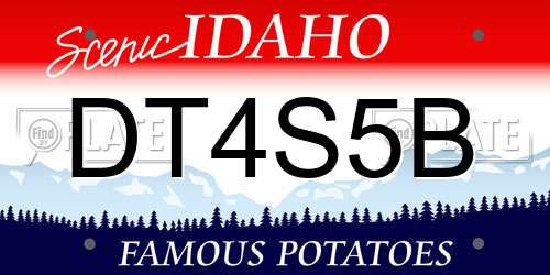DT4S5B Idaho License Plate