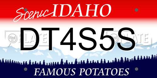 DT4S5S Idaho License Plate