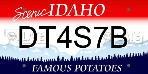 DT4S7B Idaho License Plate