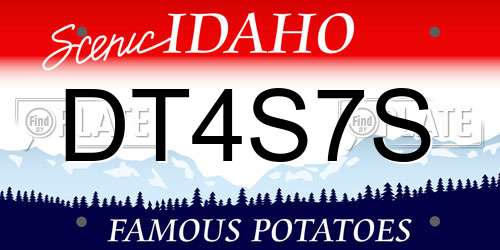 DT4S7S Idaho License Plate