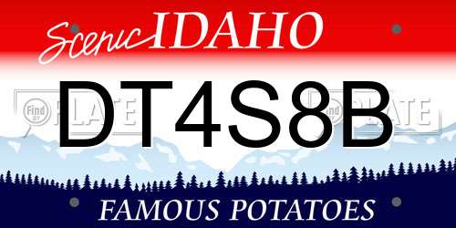 DT4S8B Idaho License Plate