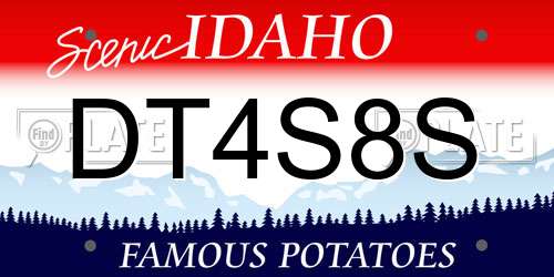DT4S8S Idaho License Plate