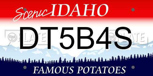 DT5B4S Idaho License Plate