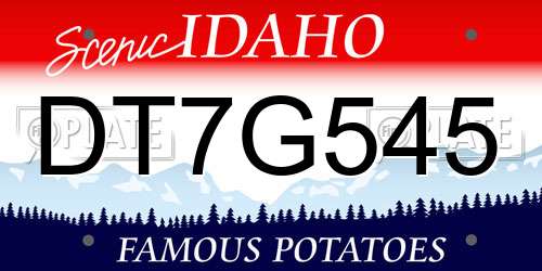 DT7G545 Idaho License Plate