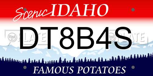 DT8B4S Idaho License Plate