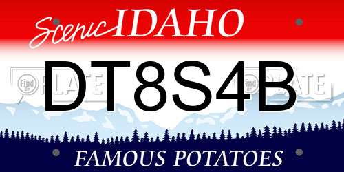 DT8S4B Idaho License Plate