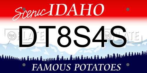 DT8S4S Idaho License Plate