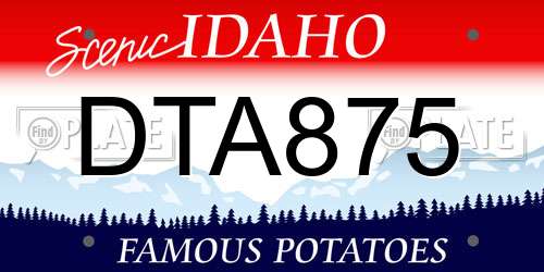 DTA875 Idaho License Plate