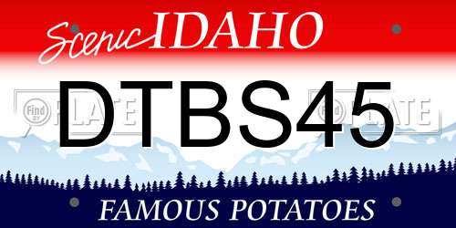 DTBS45 Idaho License Plate