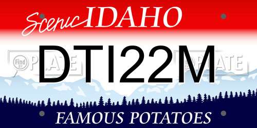 DTI22M Idaho License Plate