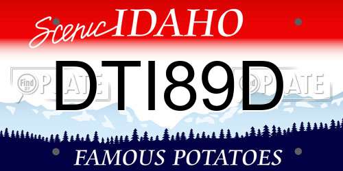DTI89D Idaho License Plate