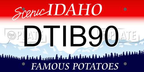 DTIB90 Idaho License Plate