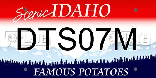 DTS07M Idaho License Plate